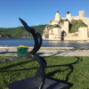 Golubac (2)